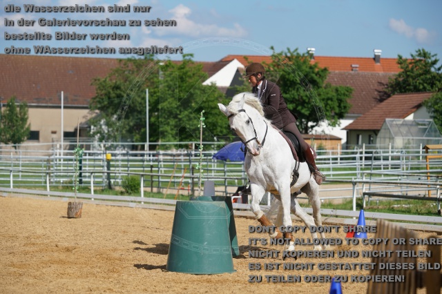 s_K3F07183.JPG
